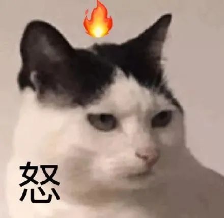 DƬ